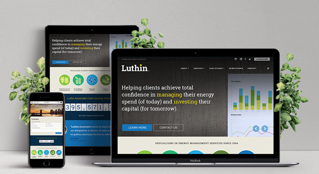 Luthin Associates