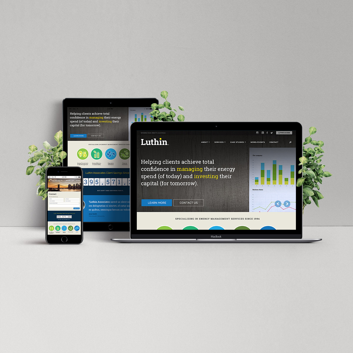 Luthin Associates Luthin Associates